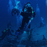 Offshore Dive Trip - Panama City Beach, FL