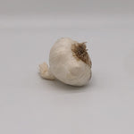 Garlic Clove (2ct)