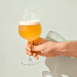 Light Beer/Seltzer