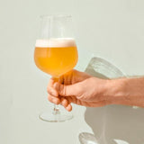 Light Beer/Seltzer